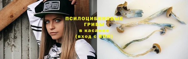 прущая мука Новокубанск