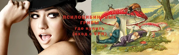 мдпв Нягань