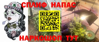 СК Жуковский