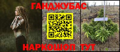 СК Жуковский