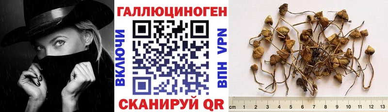 закладки  Моздок  kraken маркетплейс  Галлюциногенные грибы мухоморы 