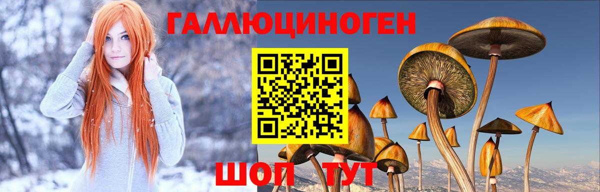 Псилоцибиновые грибы мухоморы  Моздок  Галлюциногенные грибы MAGIC MUSHROOMS 