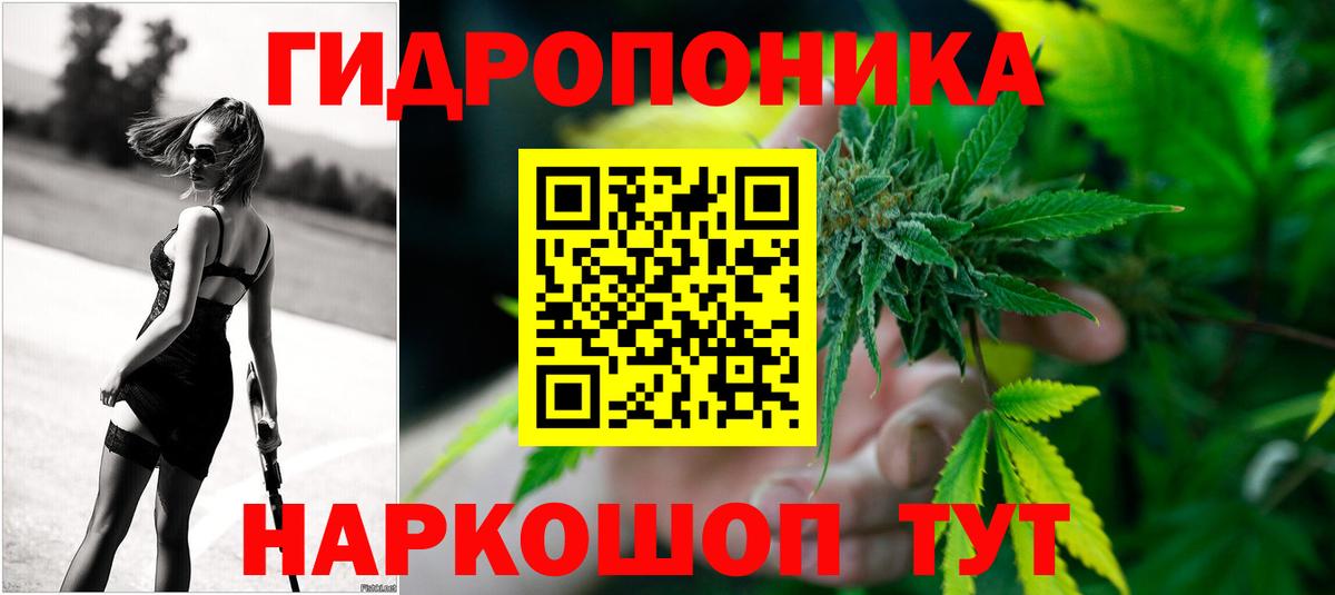 Марихуана SATIVA & INDICA Моздок